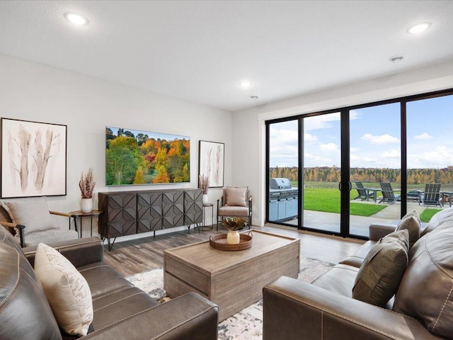 living room with light hardwood / wood-style floors