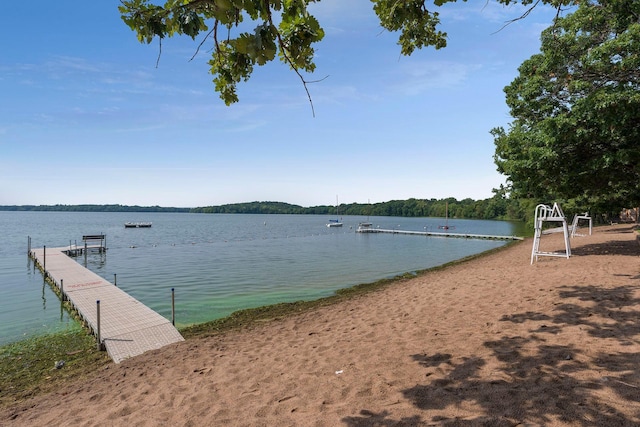 dock area with a water view