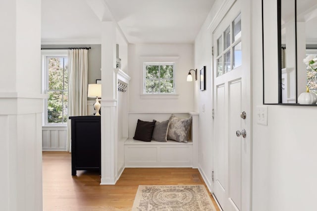 foyer with light wood finished floors, plenty of natural light, and a decorative wall