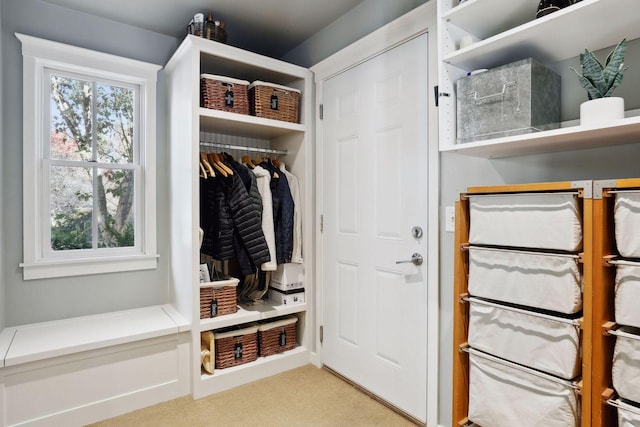 mudroom featuring light carpet and a healthy amount of sunlight