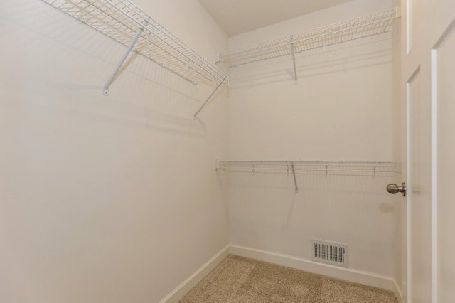 spacious closet featuring carpet