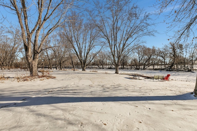 view of yard covered in snow