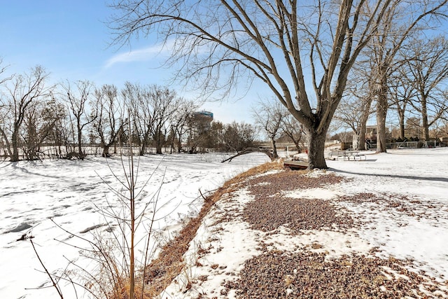 view of yard covered in snow