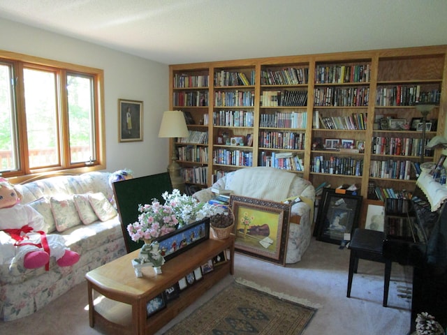 sitting room with carpet floors