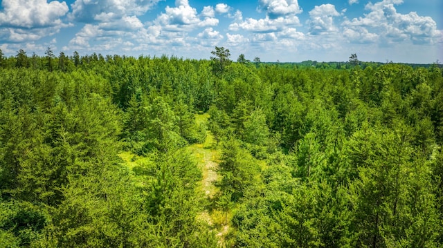 view of landscape