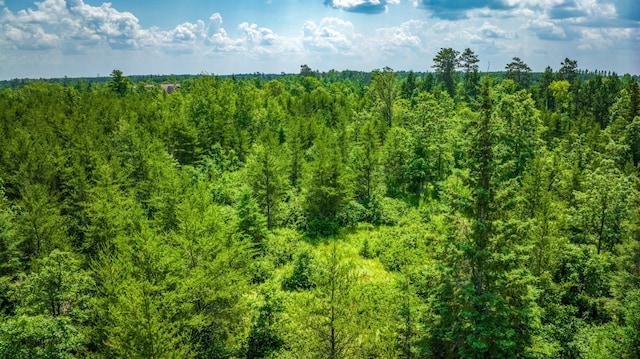 view of local wilderness