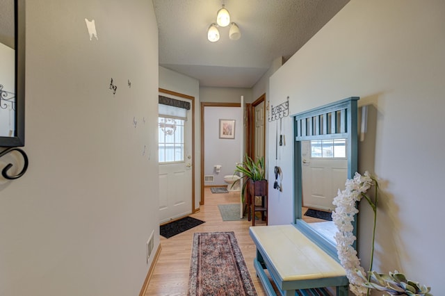 doorway to outside with plenty of natural light, a textured ceiling, and light wood-type flooring