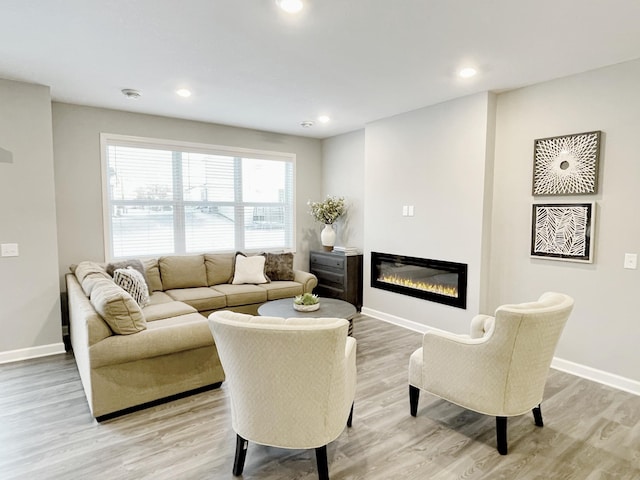 living room featuring light hardwood / wood-style flooring