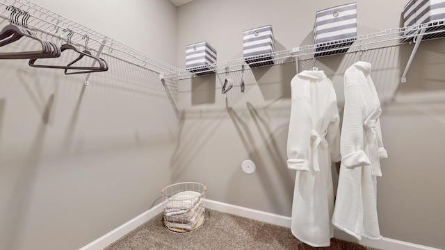 spacious closet with carpet floors