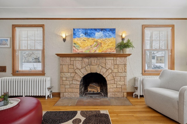 living area featuring wood-type flooring, radiator heating unit, and a fireplace