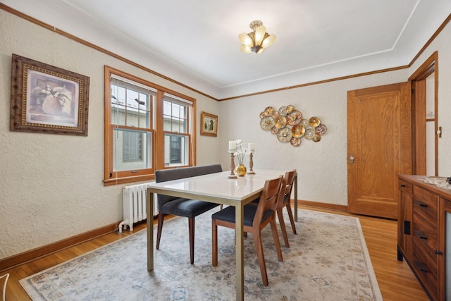 dining room with radiator, crown molding, and light wood-type flooring