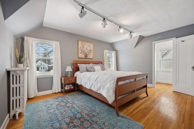 bedroom featuring lofted ceiling, multiple windows, and wood-type flooring