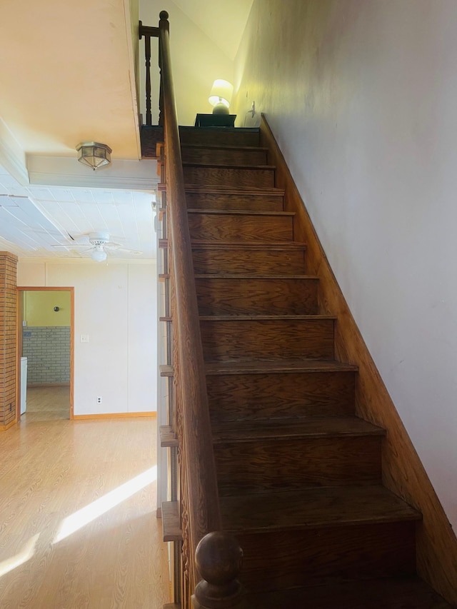 staircase with hardwood / wood-style floors