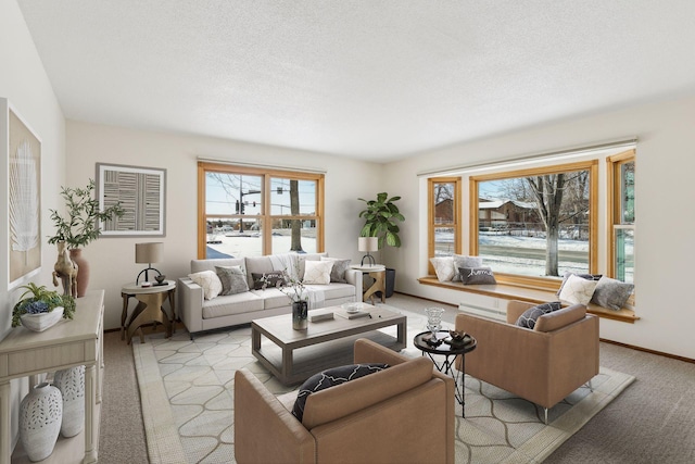 living room with baseboards, light carpet, and a textured ceiling