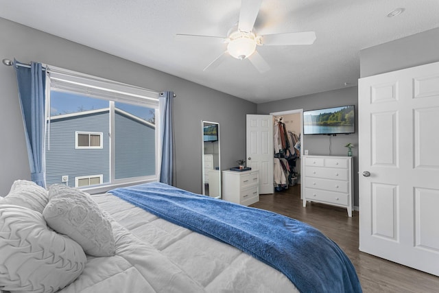 bedroom with ceiling fan, dark hardwood / wood-style flooring, a textured ceiling, and a spacious closet