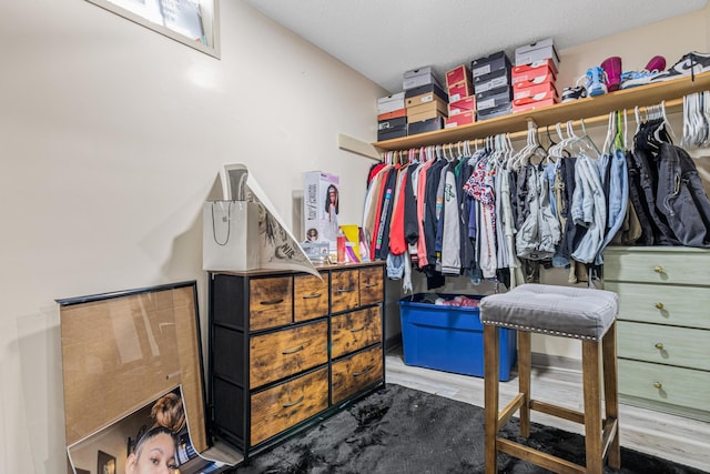 walk in closet featuring wood finished floors