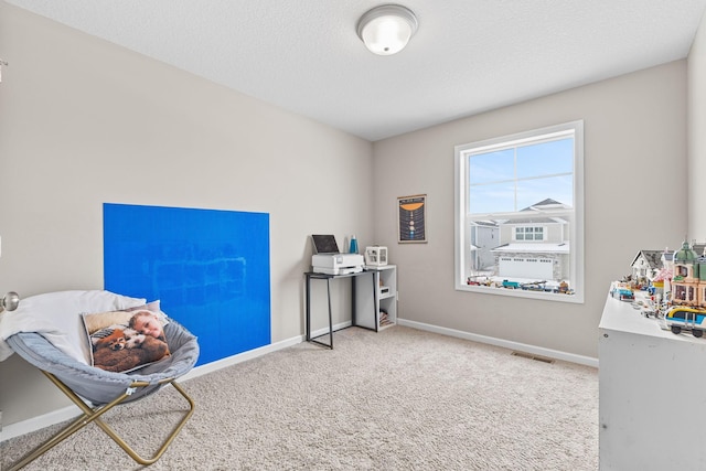 miscellaneous room featuring carpet flooring and a textured ceiling