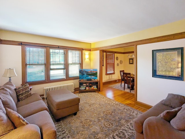 living room with radiator heating unit and light hardwood / wood-style floors