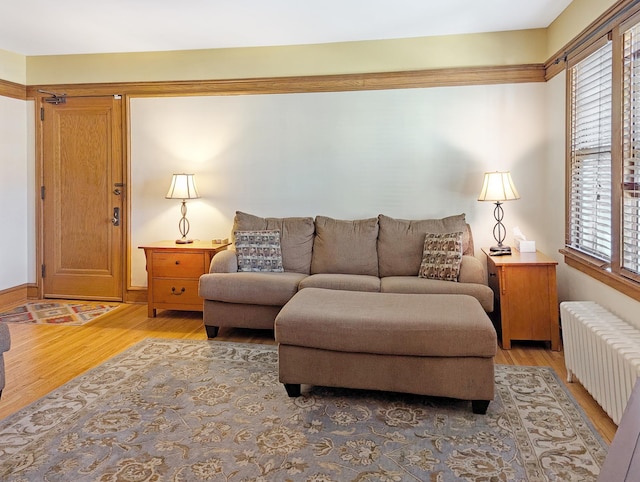 living room with radiator heating unit and hardwood / wood-style floors