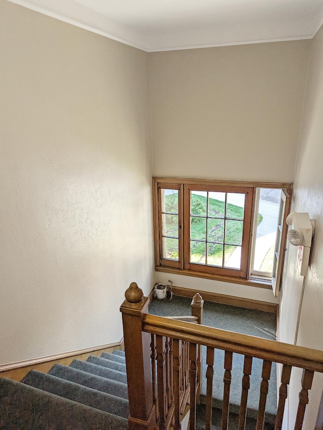 stairs with crown molding