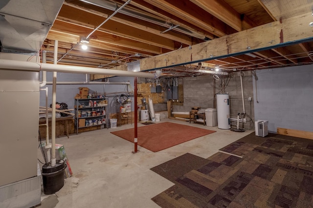 basement with electric water heater