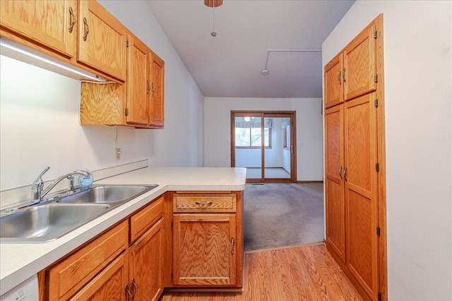 kitchen featuring sink, light hardwood / wood-style flooring, and kitchen peninsula