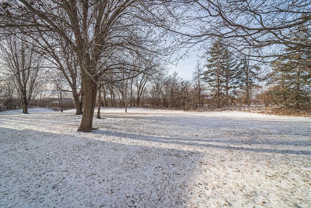 view of snowy yard