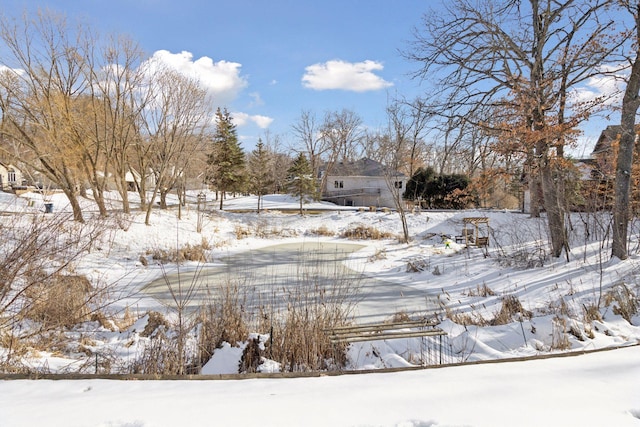 view of snowy yard