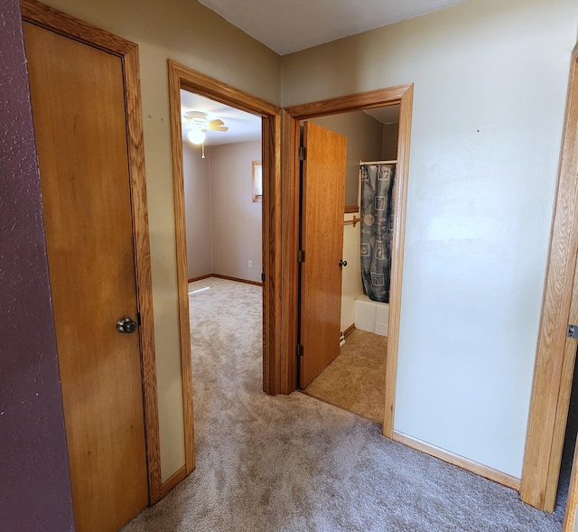 hall featuring carpet flooring
