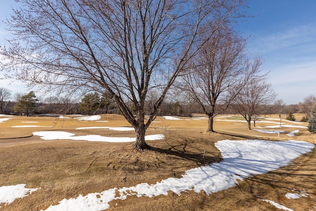 view of yard layered in snow