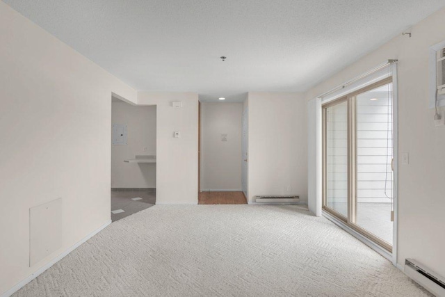 spare room with a baseboard heating unit, light carpet, and a healthy amount of sunlight