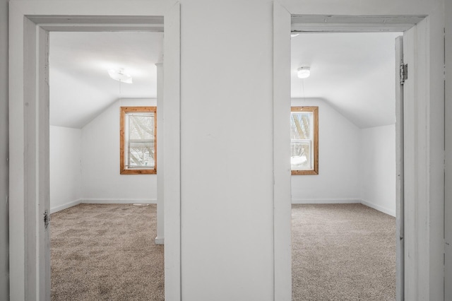 additional living space with lofted ceiling and carpet