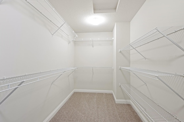 5270 Jewel Ln N, Plymouth, MN 55446 - walk in closet with carpet floors and attic access