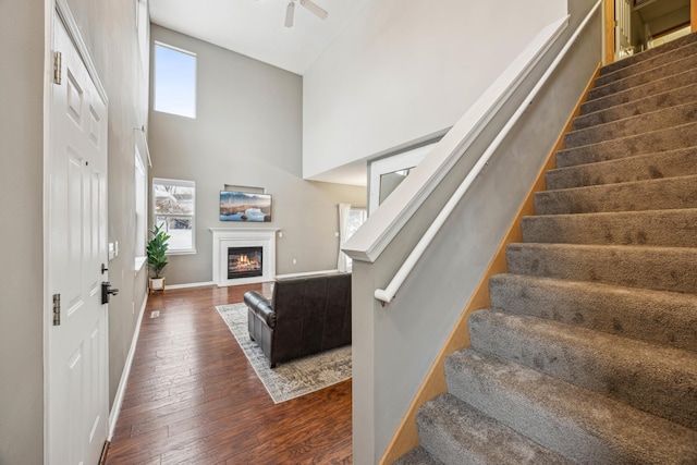 staircase with hardwood / wood-style flooring and a high ceiling