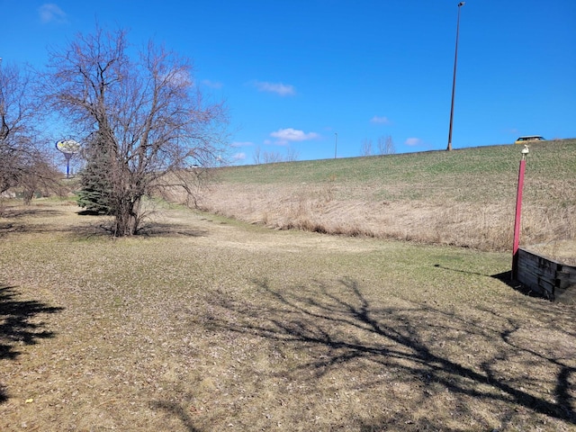 view of yard with a rural view