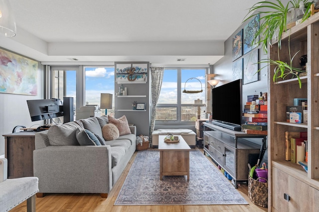 living room featuring a healthy amount of sunlight and light hardwood / wood-style flooring