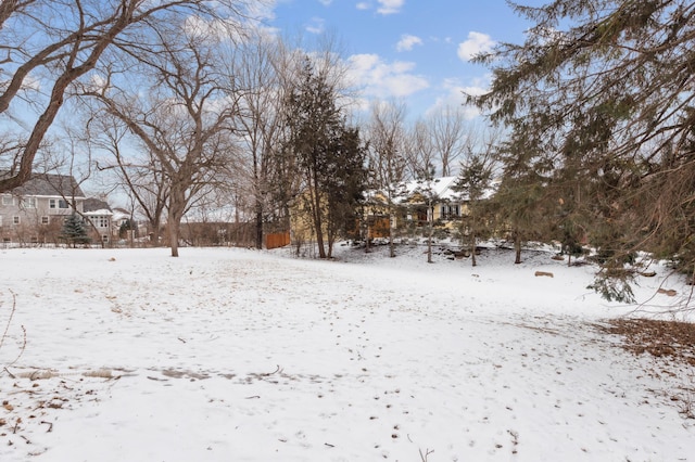 view of snowy yard