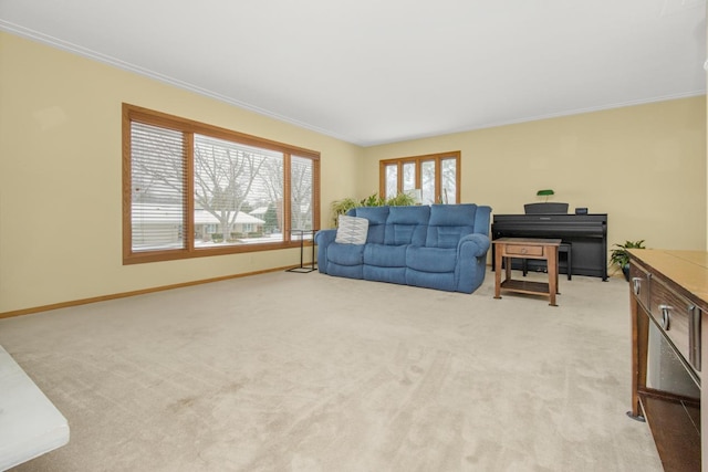 living room with crown molding and light carpet