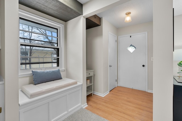 foyer entrance featuring light hardwood / wood-style flooring