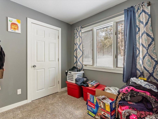 miscellaneous room featuring carpet floors and a healthy amount of sunlight