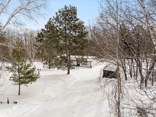 view of yard covered in snow