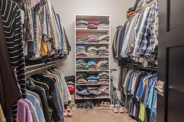 walk in closet with carpet