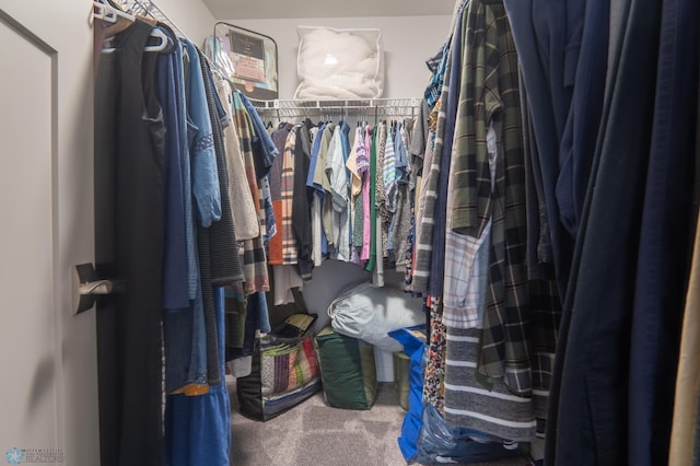 spacious closet with carpet floors