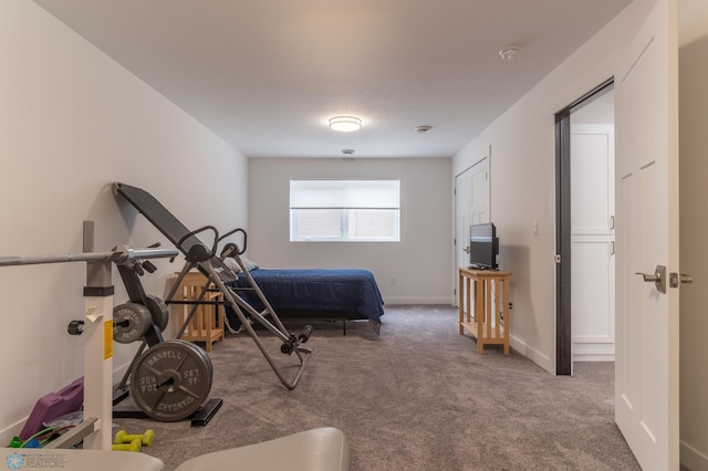 bedroom with carpet floors