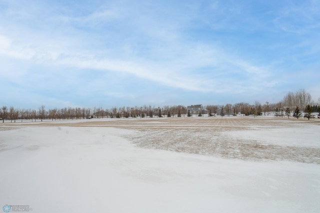 view of snowy yard