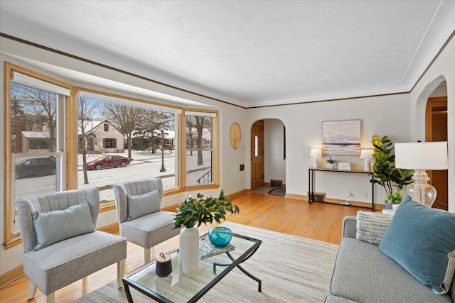 living room featuring ornamental molding and light hardwood / wood-style flooring