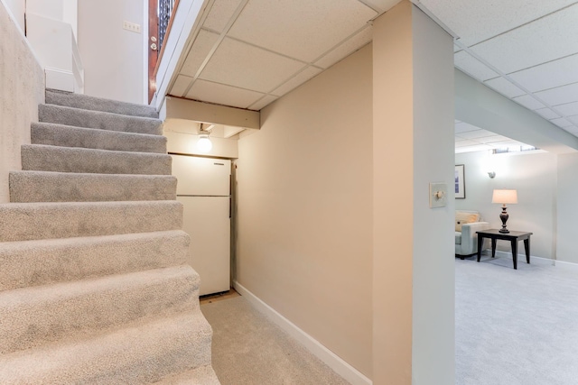 stairway with a drop ceiling and carpet floors