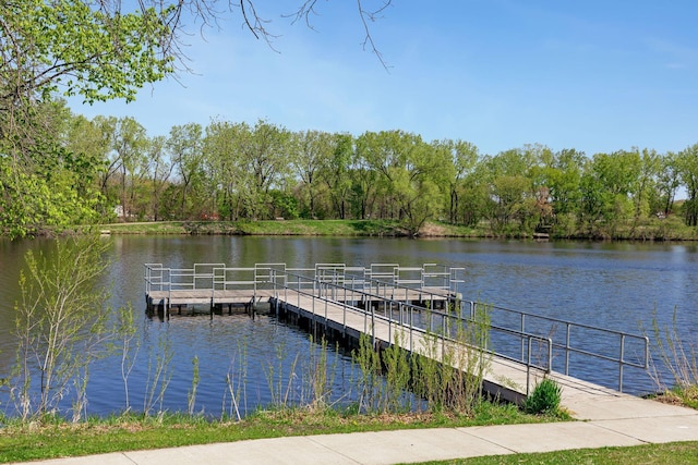 5801 23rd Ave S, Minneapolis, MN 55417 - dock with a water view