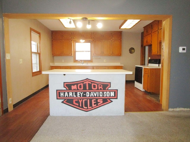 kitchen with electric stove, sink, and hardwood / wood-style floors