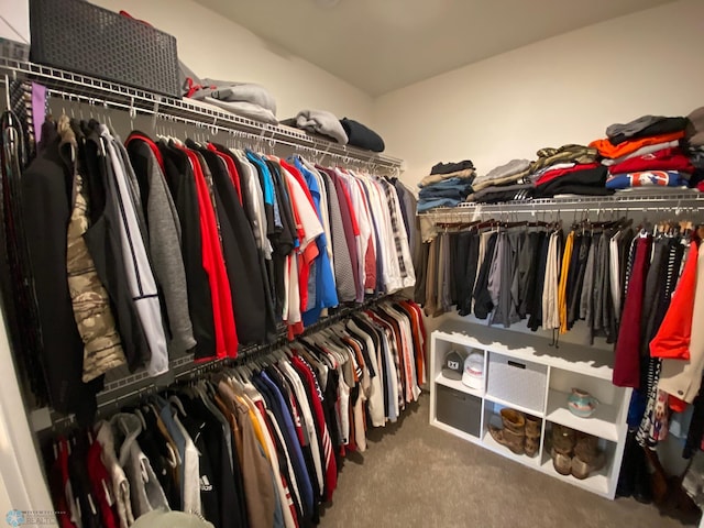 spacious closet with carpet